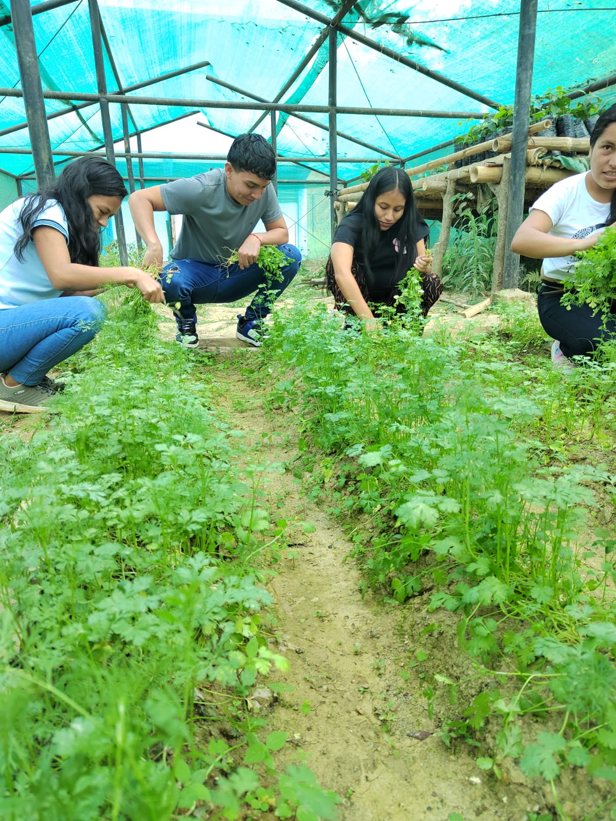 Administración de Negocios Agropecuarios