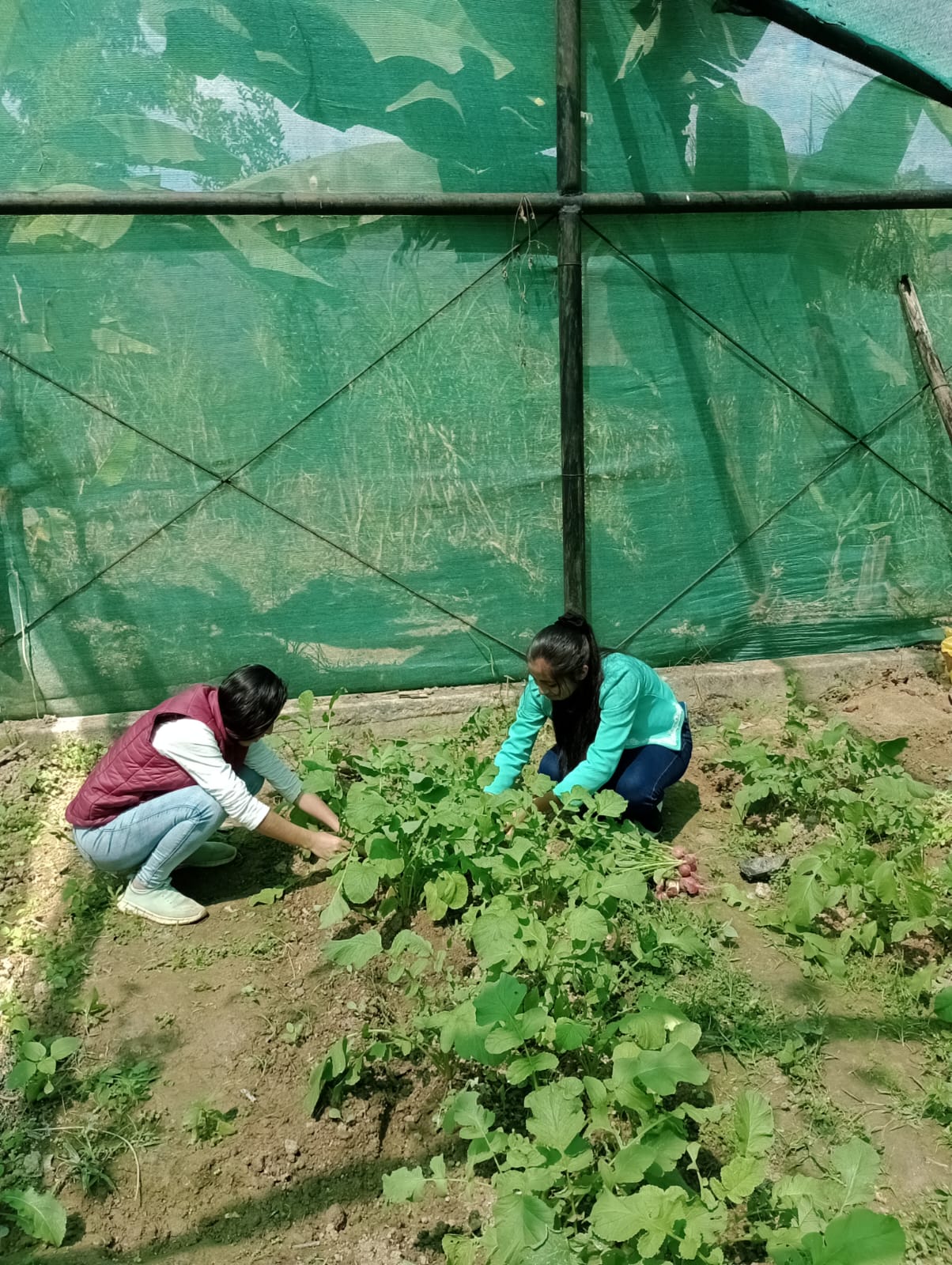 Administración de Negocios Agropecuarios